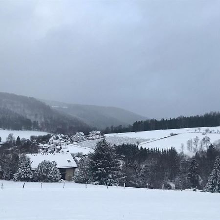 Appartement Familie Willems Winterberg 2 Exteriér fotografie